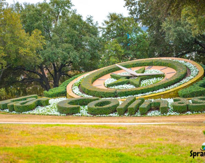 Irving Texas