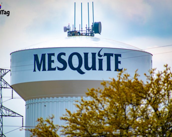 Mesquite Texas
