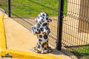 Bush Central Barkway
